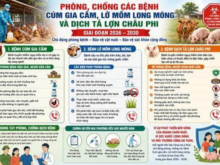 Văn Hoá xã Hội